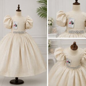 Fancy Festive dress